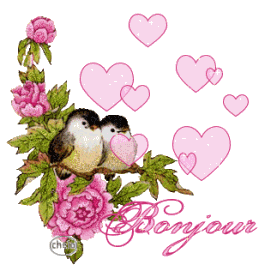 Gif bonjour oiseau
